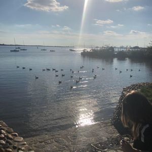 Meet your Posher, Donna